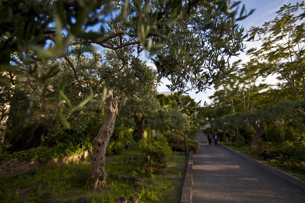 Hotel Terme Alexander Ischia Bagian luar foto